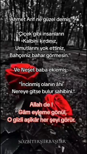 @☪⃝🇹🇷 GÖLGE ☪⃝🇹🇷