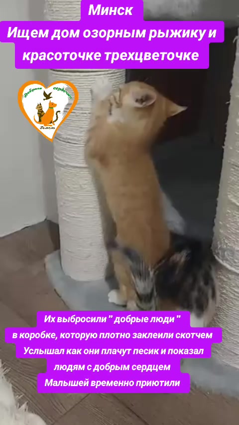 @Марина