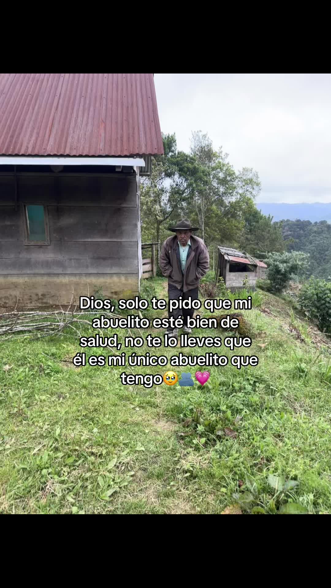 @David•Jc✍️🦥