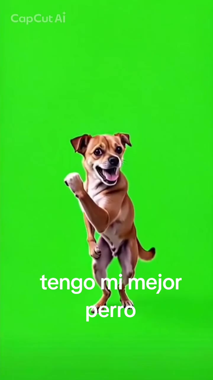 @Manuel Diaz