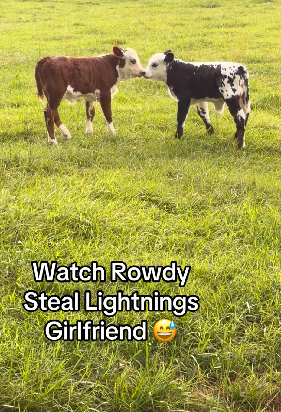 @Georgia Farm Girl