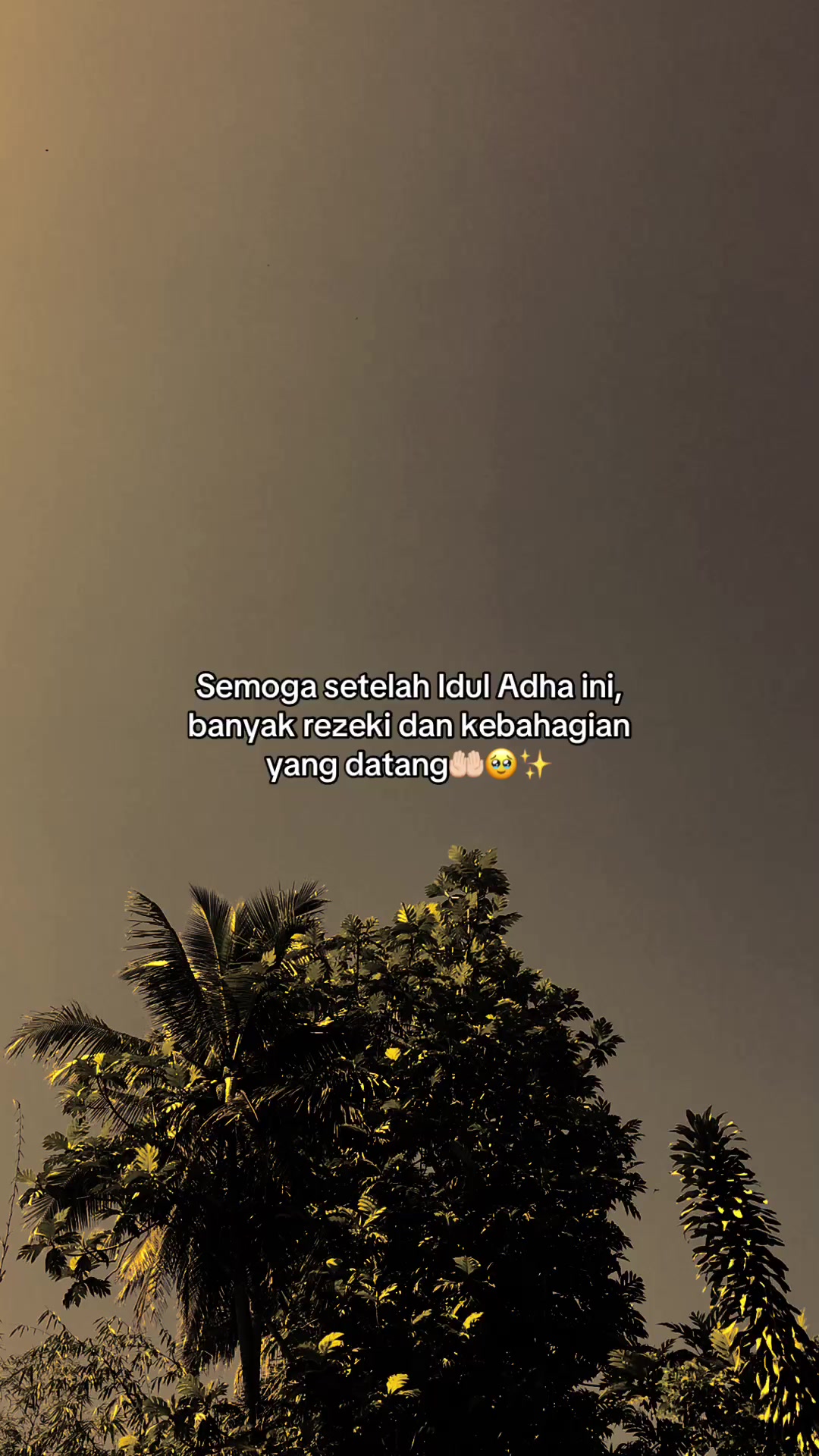 @﷽
