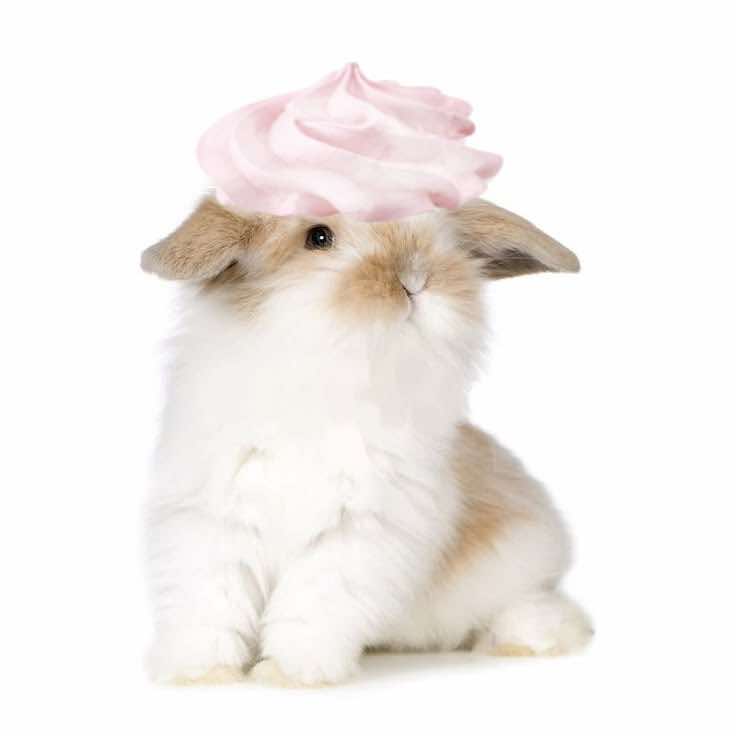 @˙𐃷˙