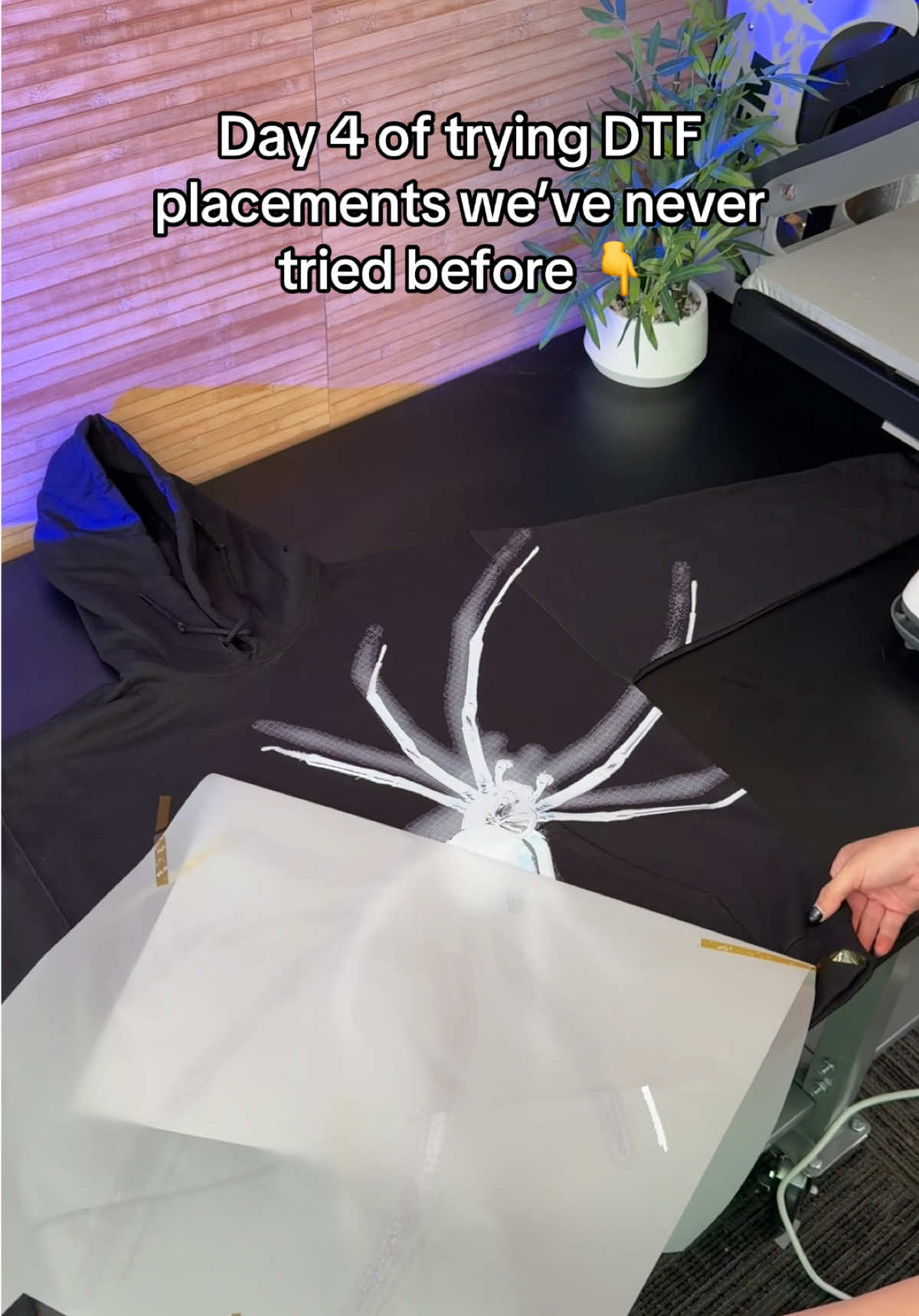 @Ninja Transfers