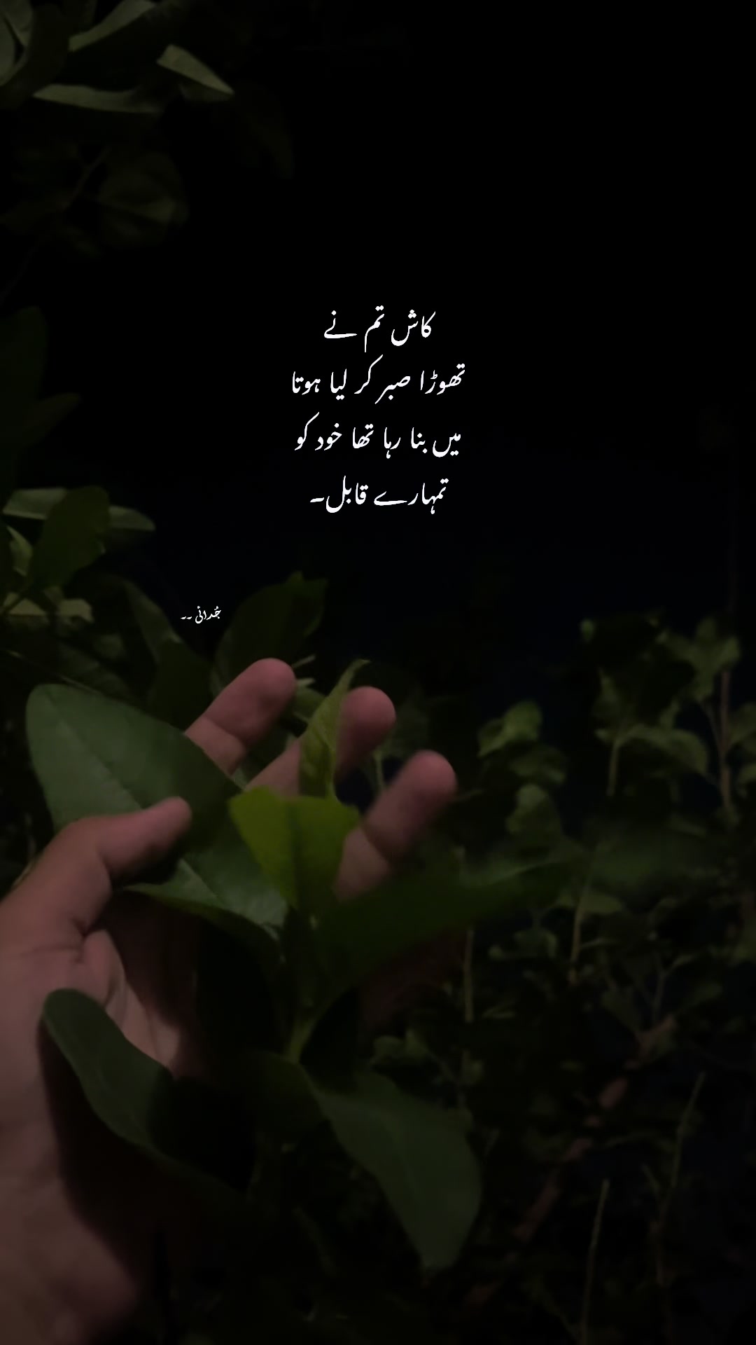 @𓆩 Aabi 𓆪