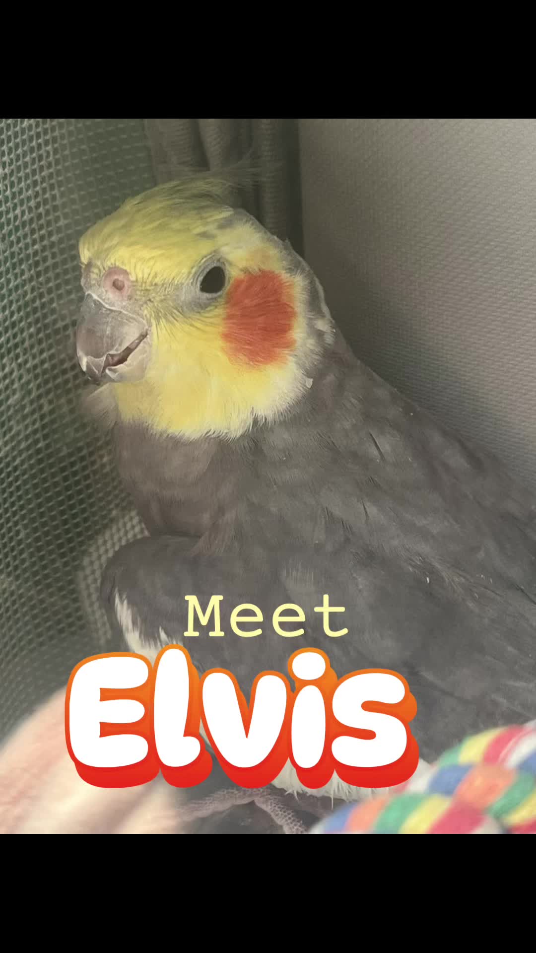 @CactusCreekAH