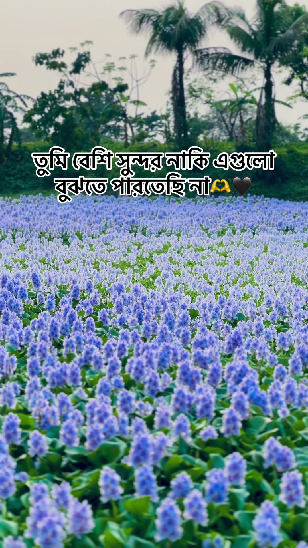 @⚡R K Kawser 77💥