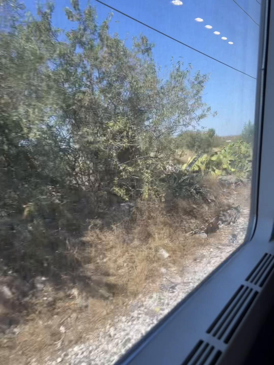 @Paola Paparella