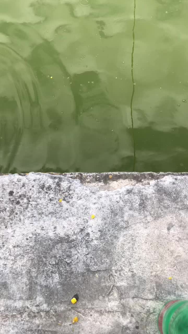 @Rocco Laudisio