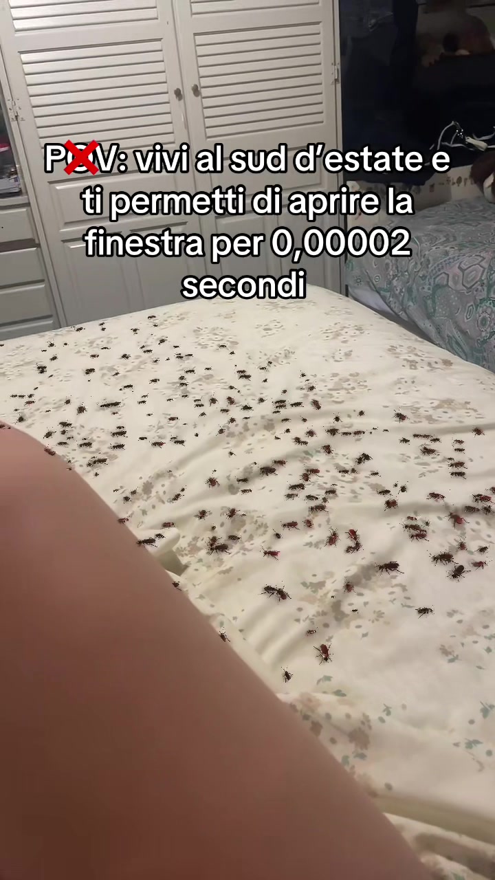 @carlottadore__