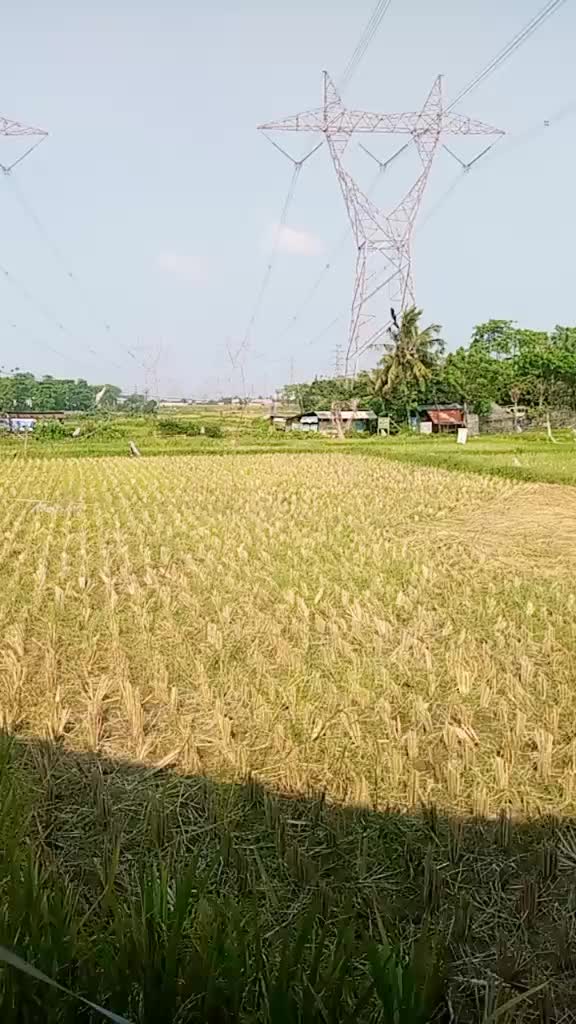 @seniman api