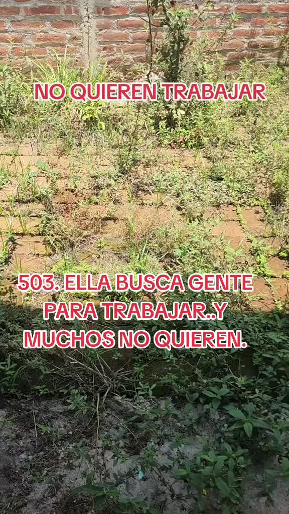 5.55K hearts, 29 shares | trinidy reel (@trinidyreel17)