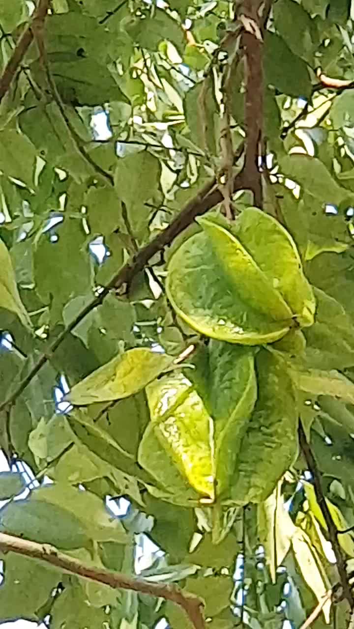 @thương c&ocirc;ng sức khỏe