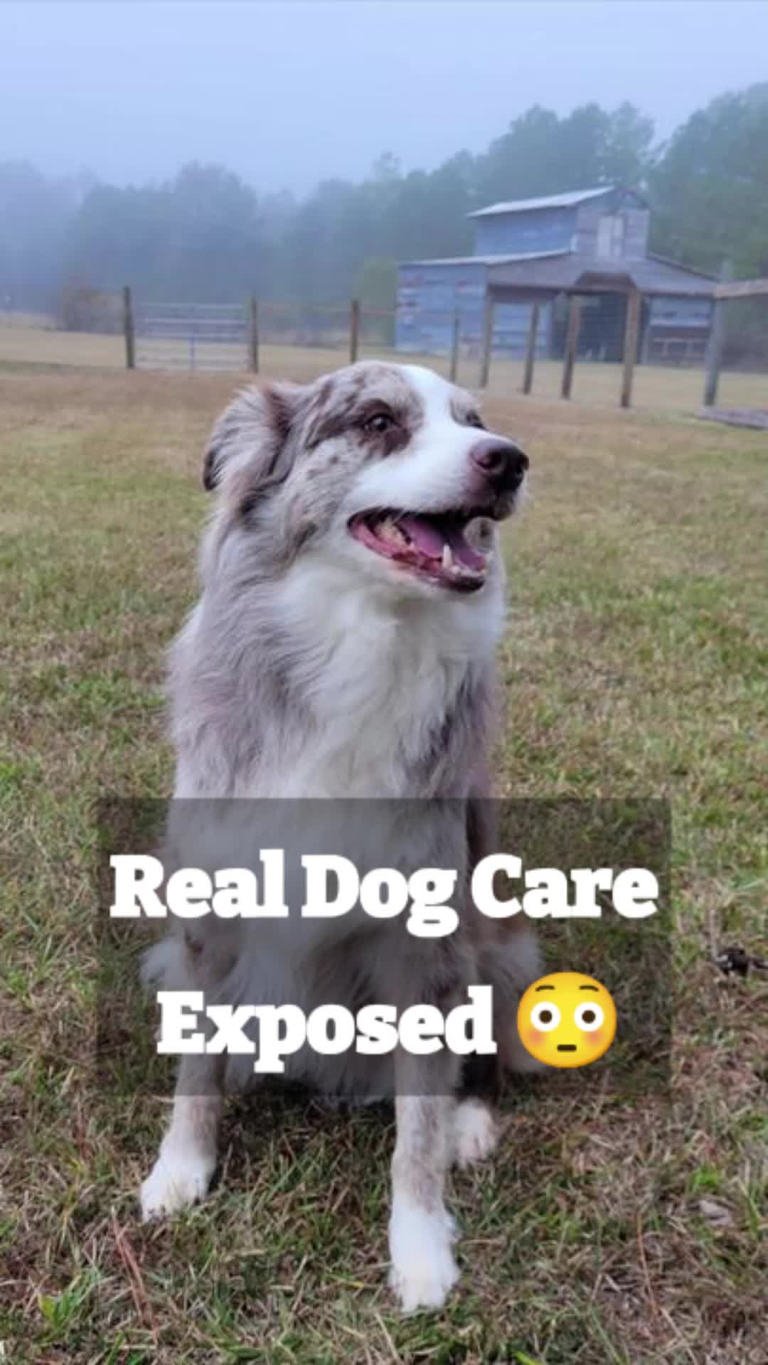 @Barks & Wildlife Longville LA