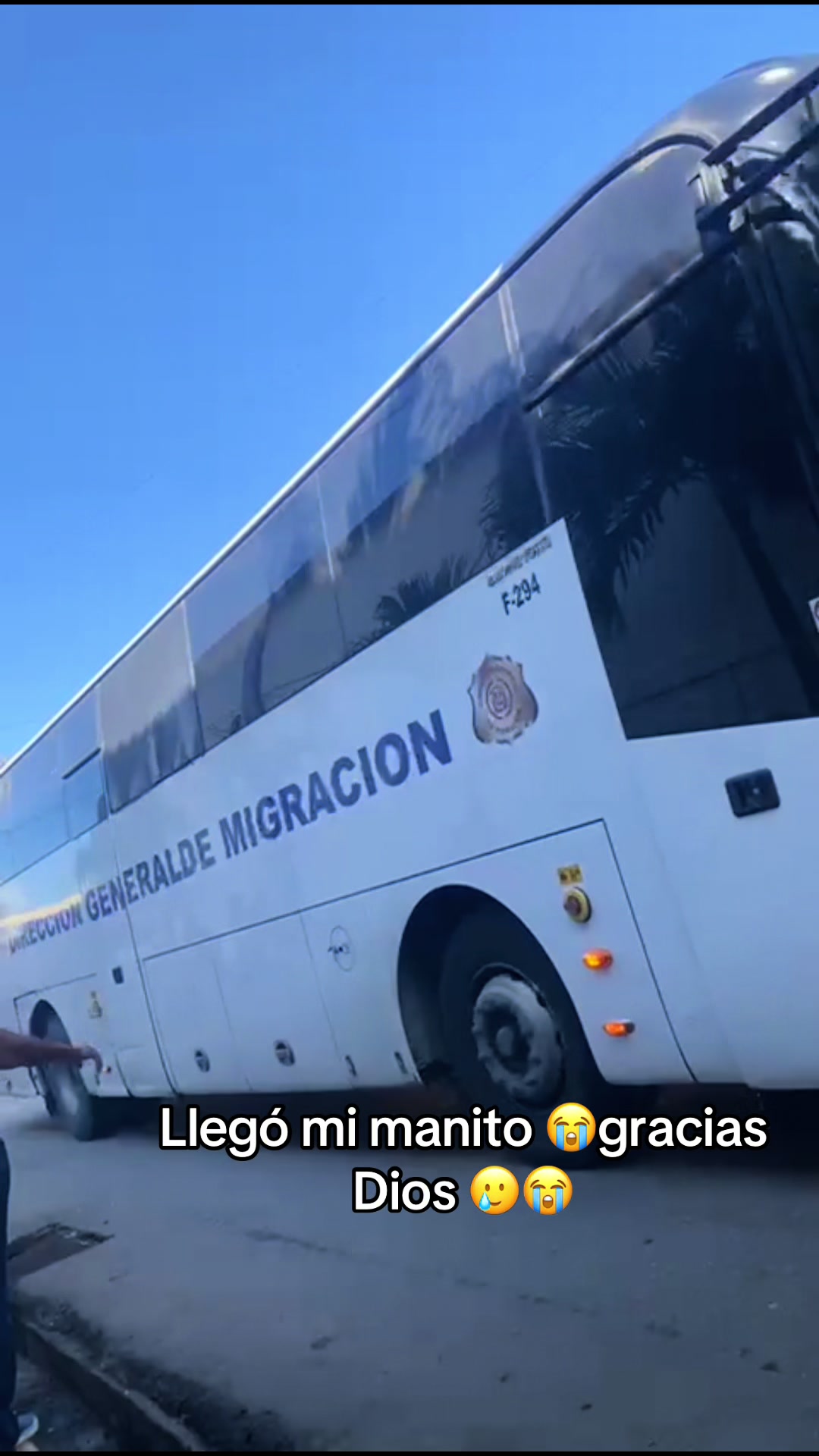 @Flor Salvaje