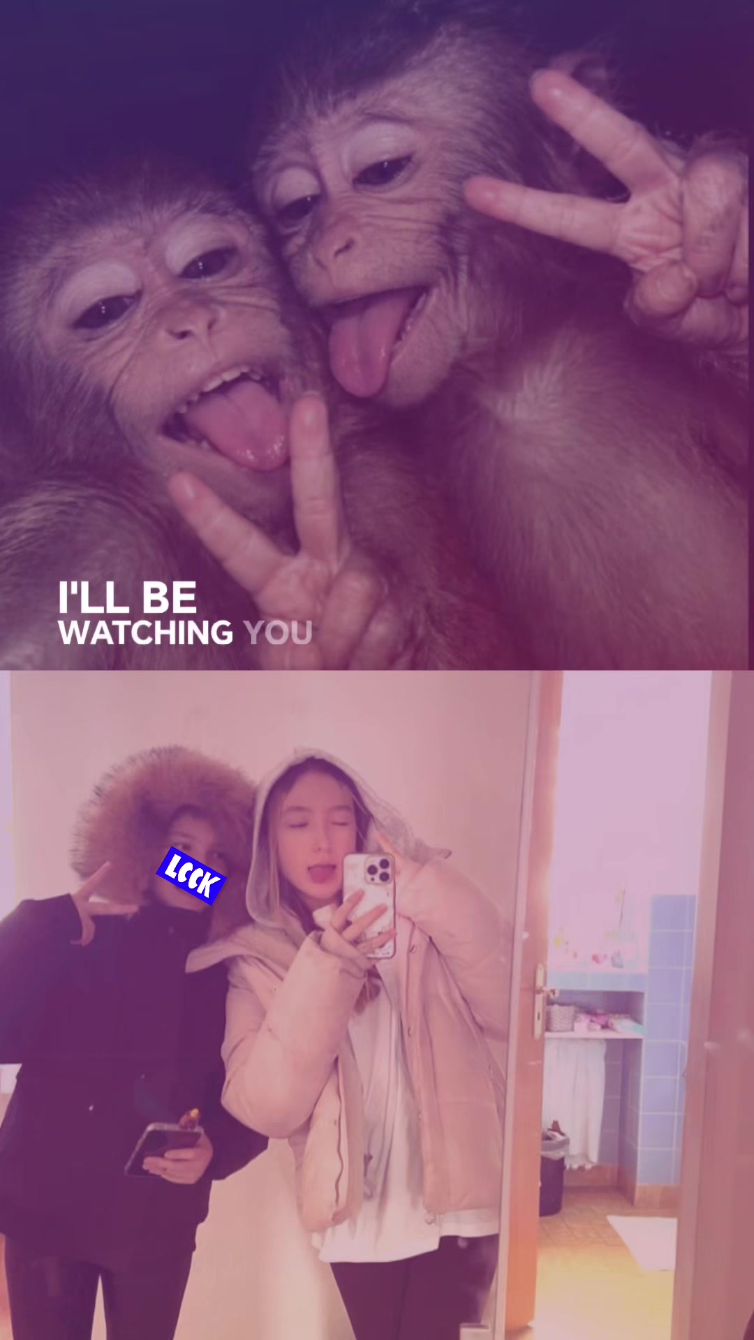 @๐ซ๐๐๐๐๐'๐๐๐๐๐๐๐