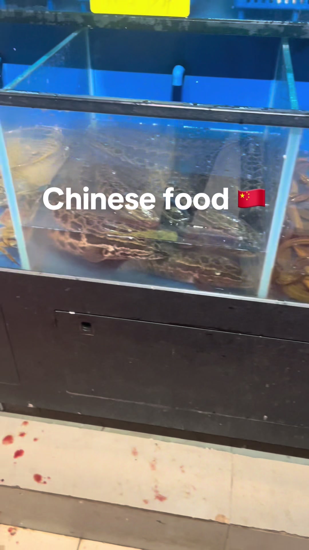 @Sapaly China 🇨🇳