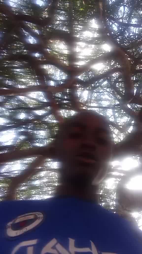 @joshua jonior