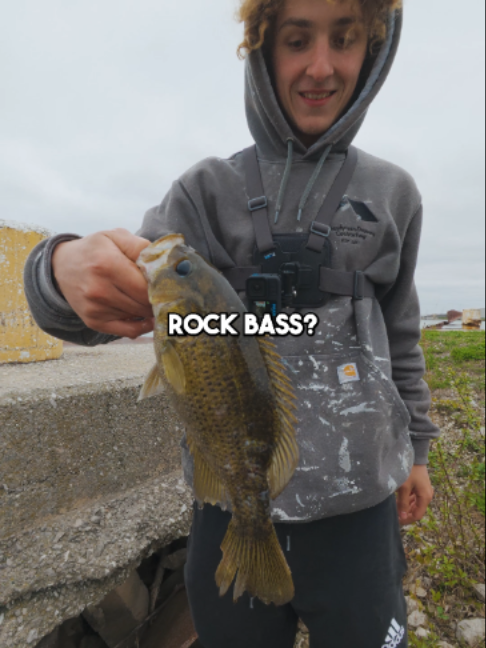 @Stef Fish