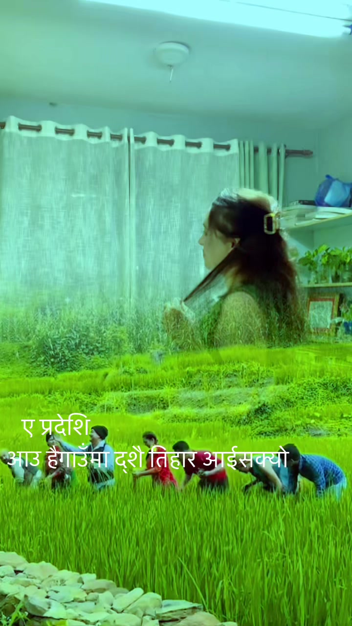 @taratripthi