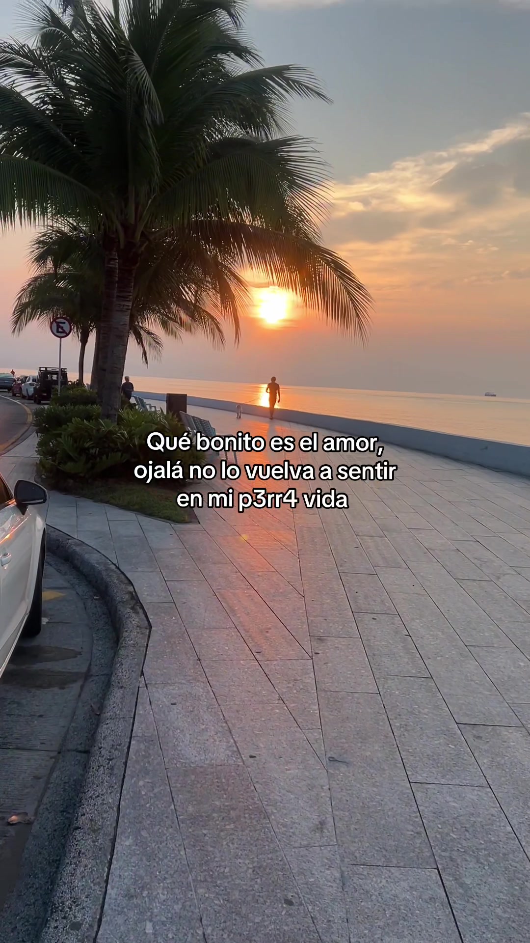 @Xoloyoxi Luna 🌙