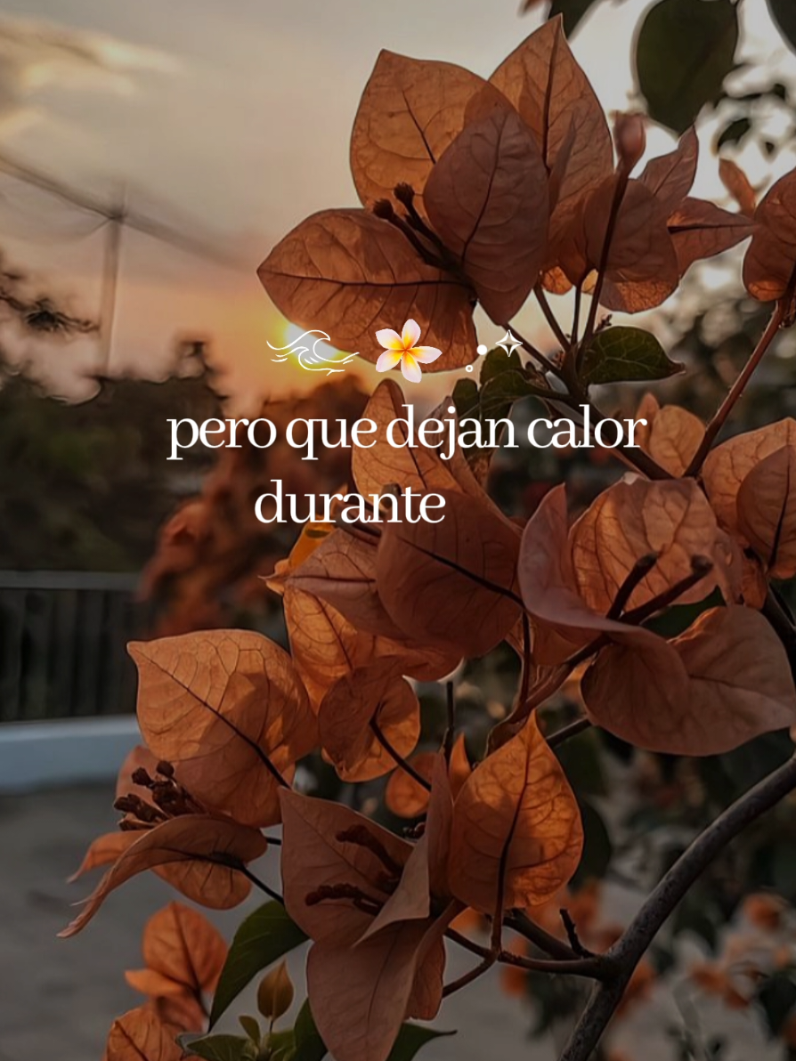@Flores en Marte.