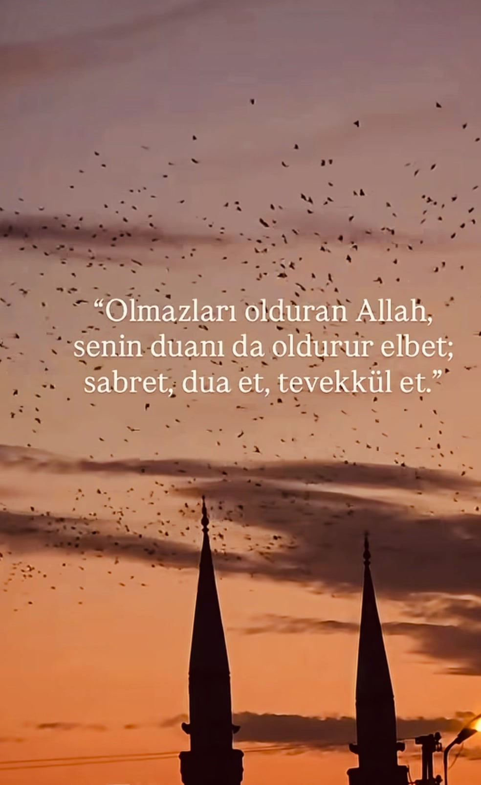 @aslantek000