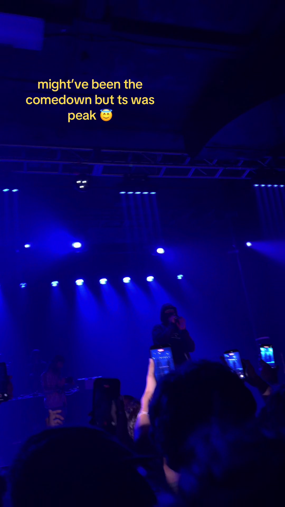 @gatolife2016
