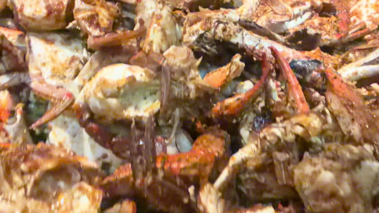 @seafoodconnectionexpress