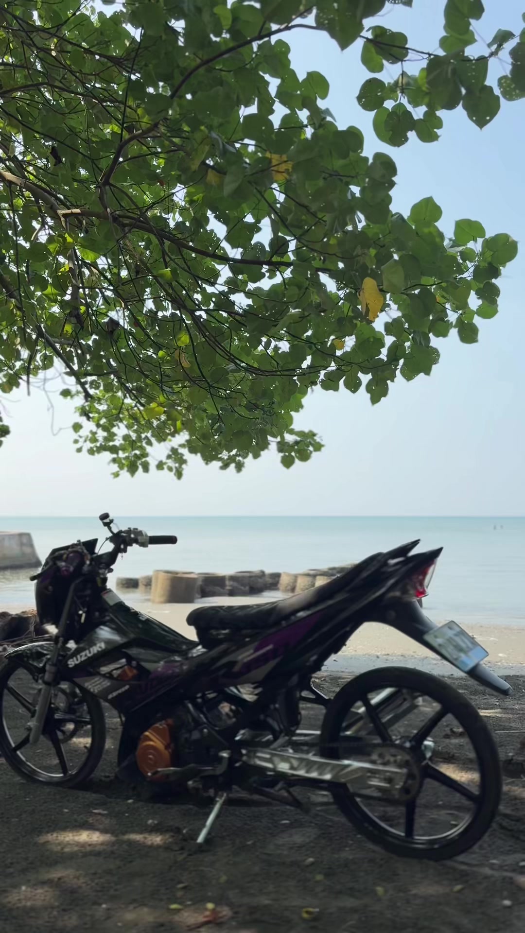 @Rayll🇻🇳