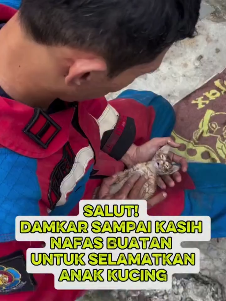 @Wahyu Santosa Official