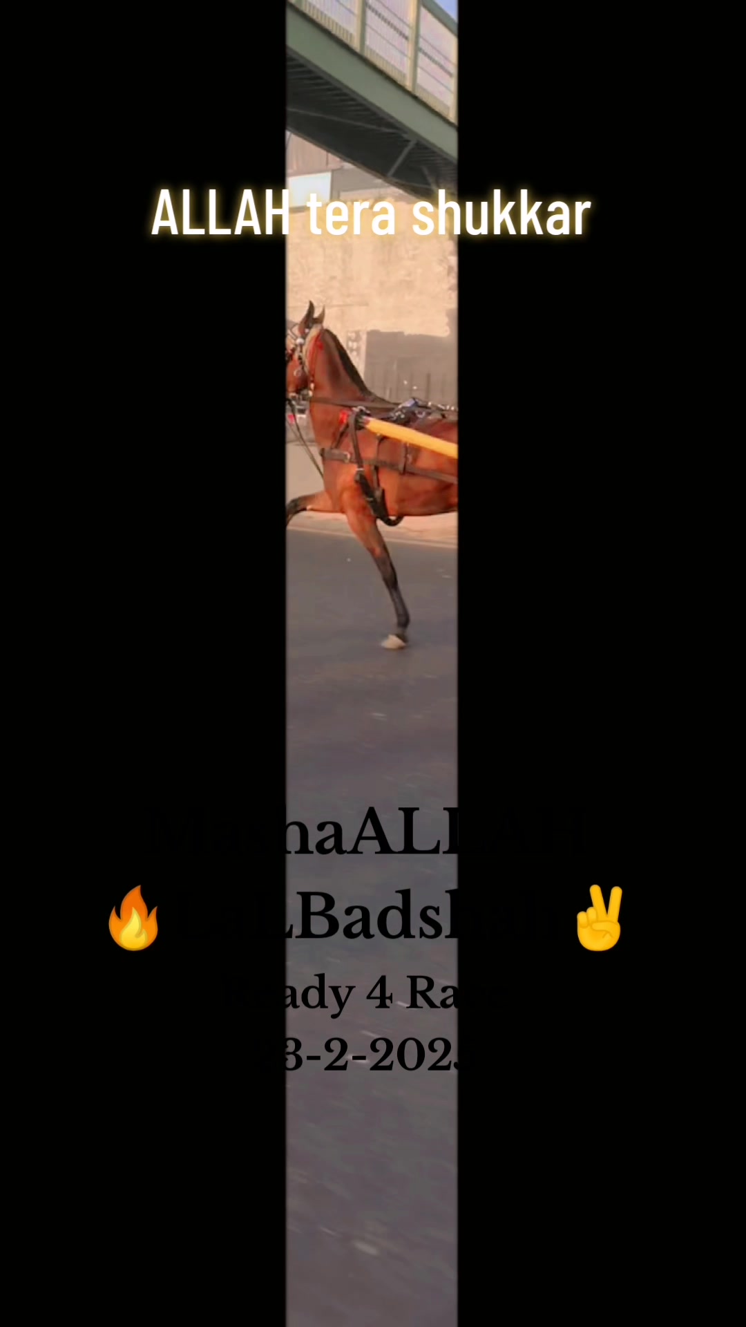 @Badshah-Gujjar