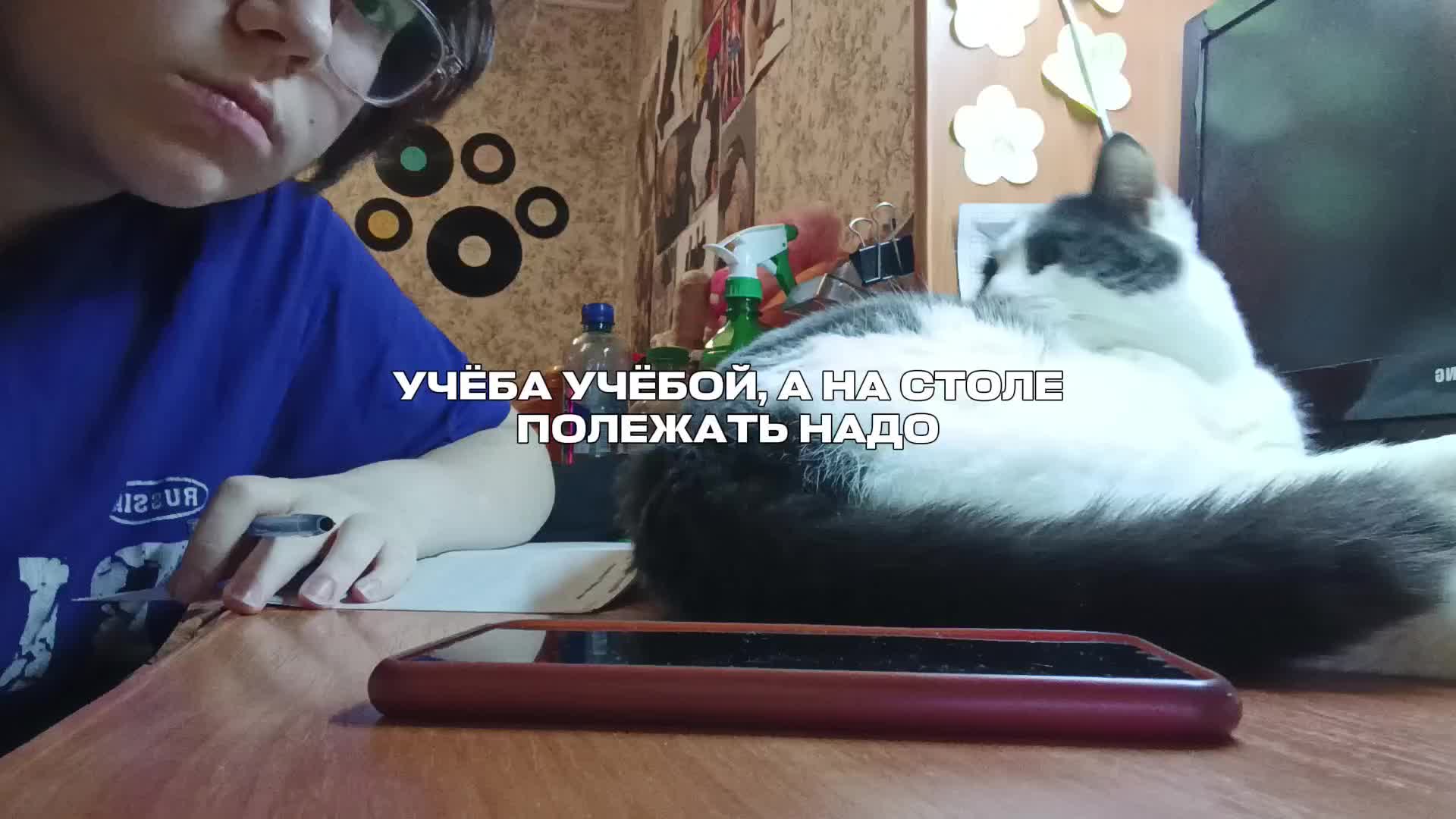 @позорница энка(?)