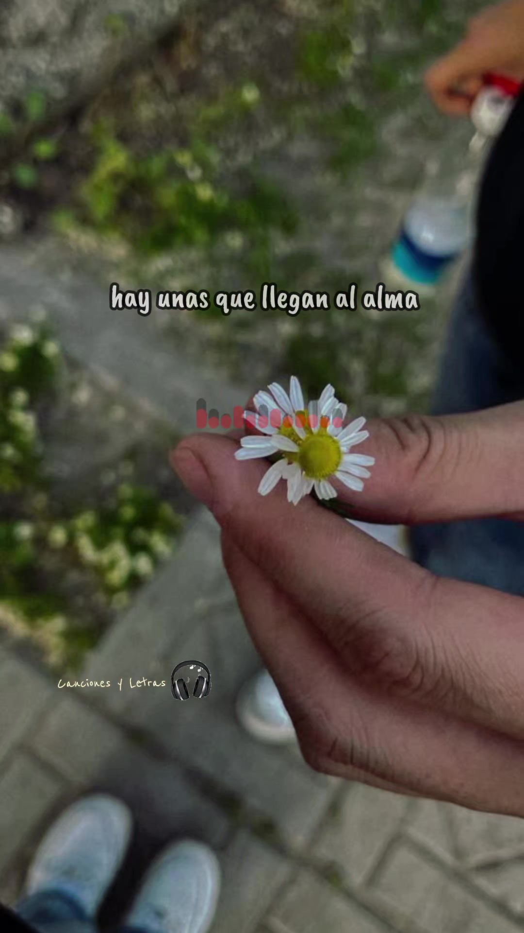 @canciones y letras 🎧