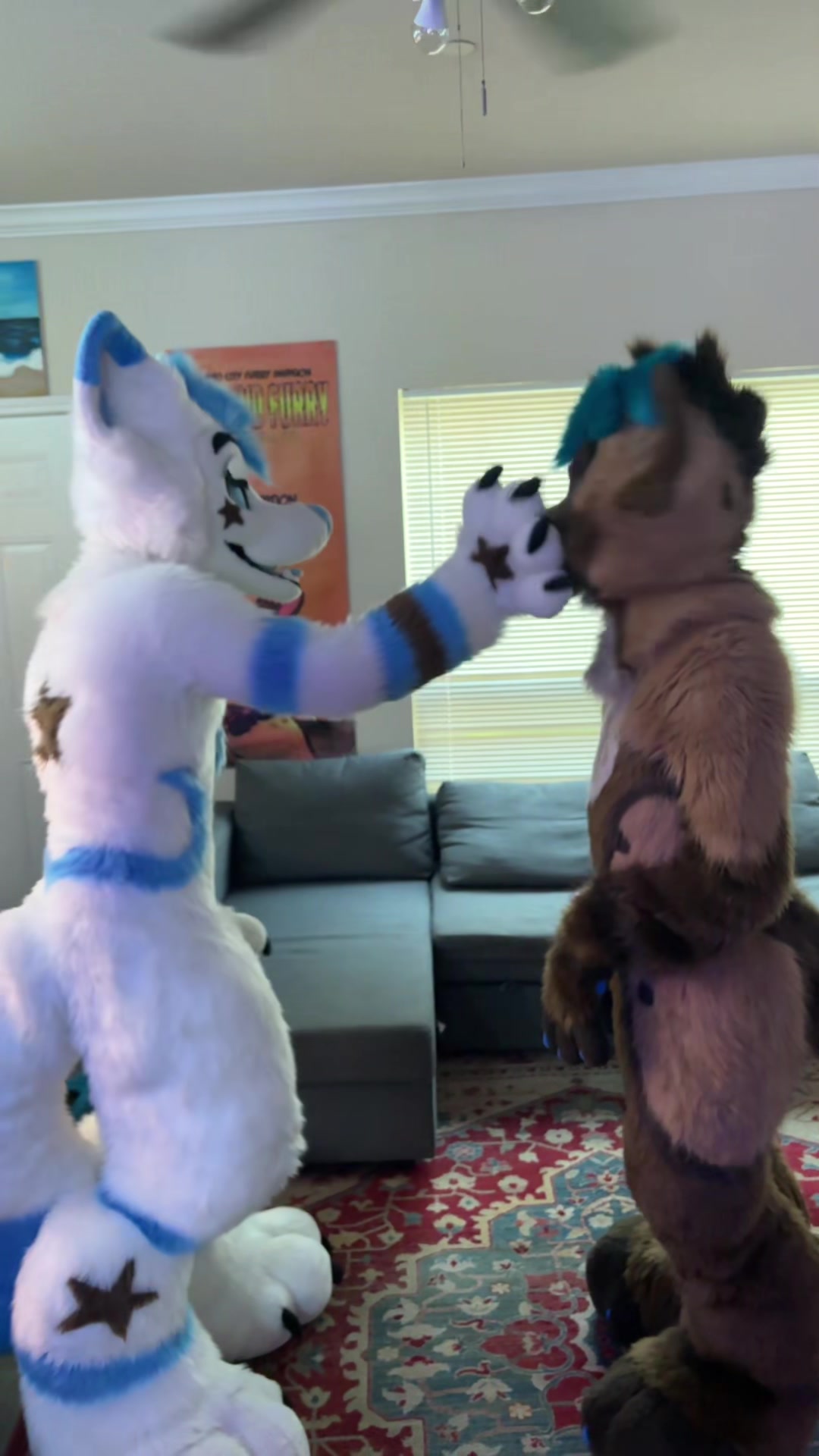 @BlueFoxNova