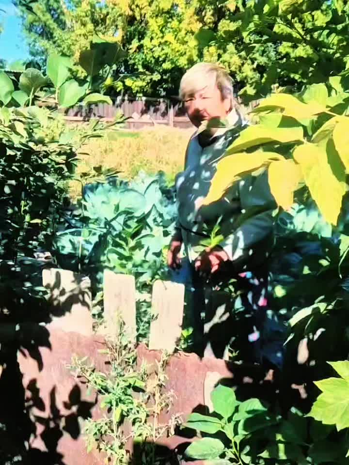 @Весёлая бригада