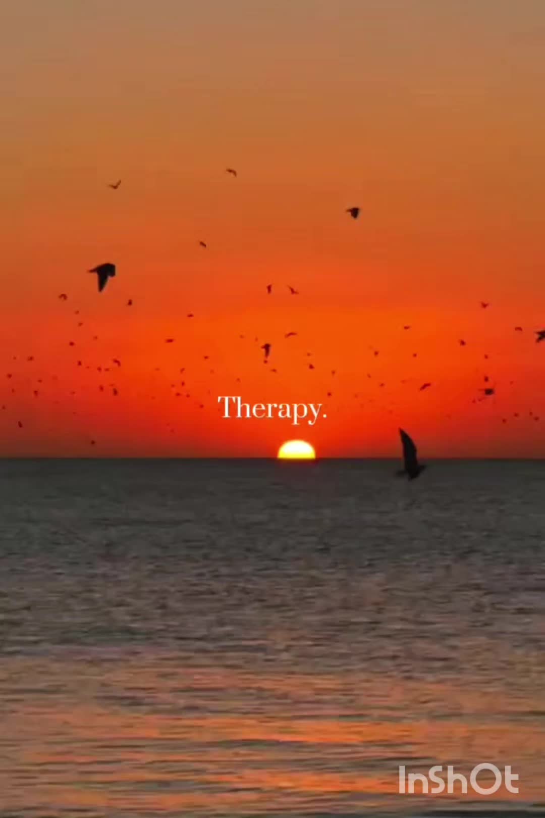 @🌺