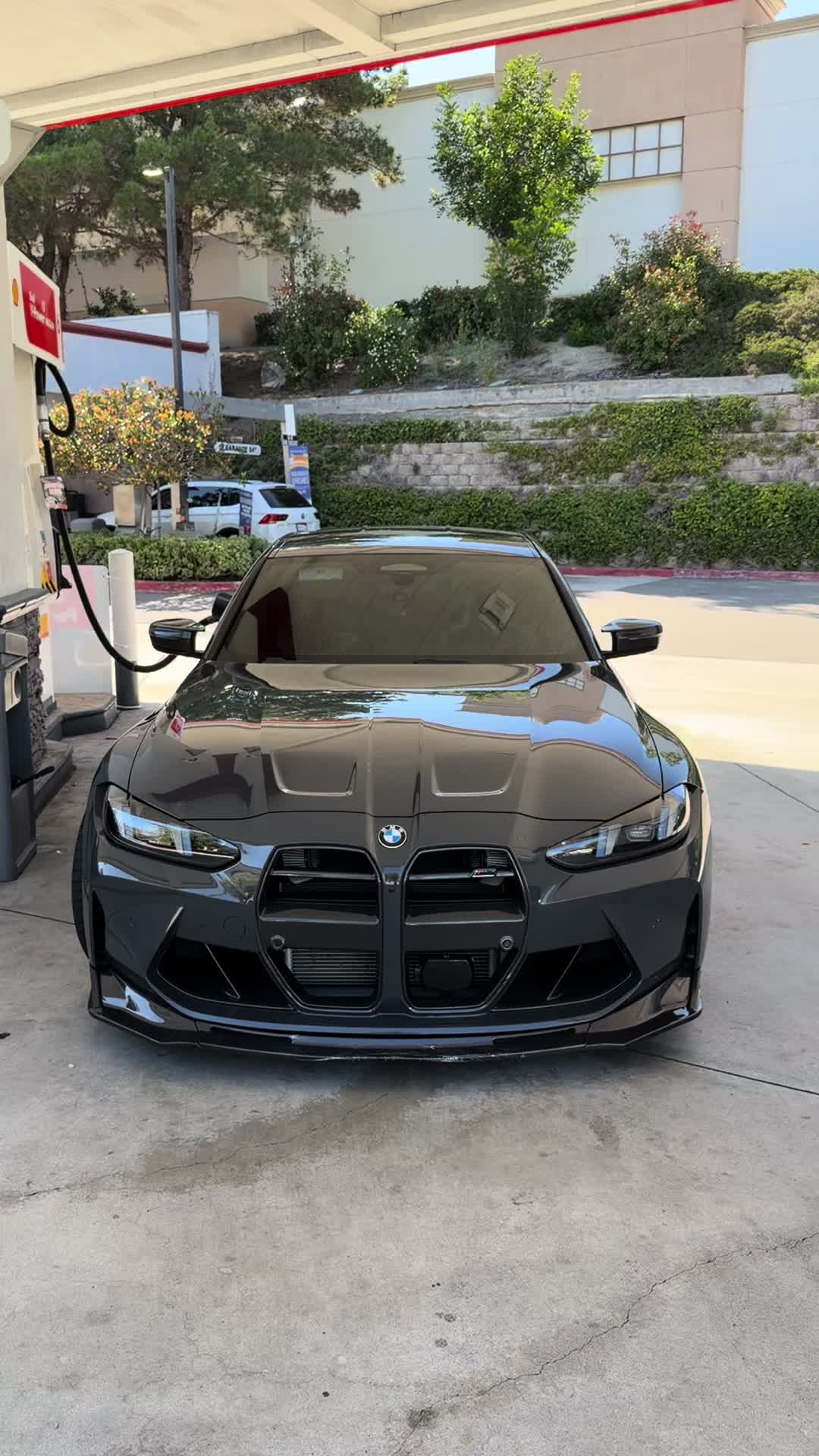 @sheeshg8x
