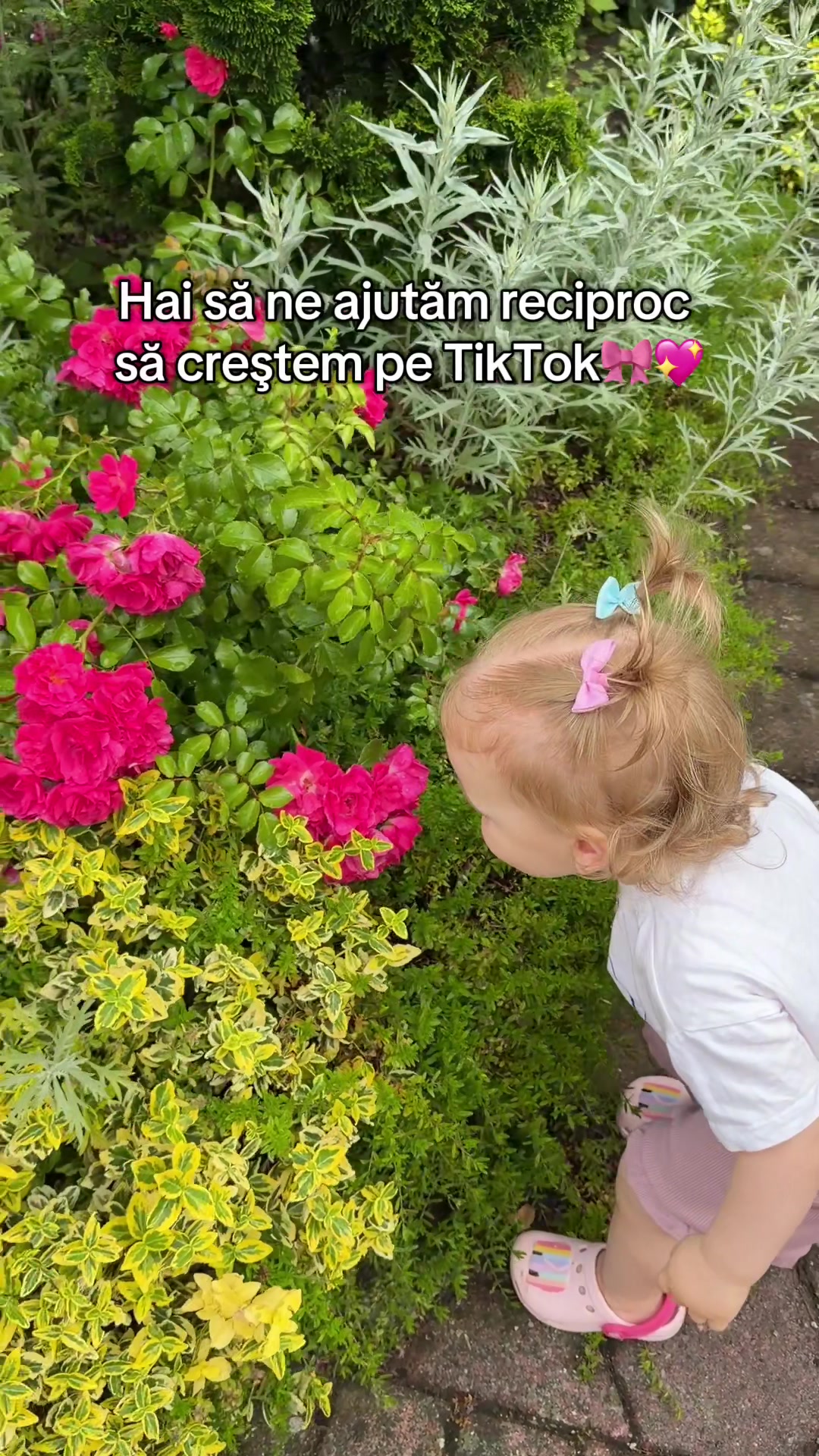 @Teşu Fam❤️