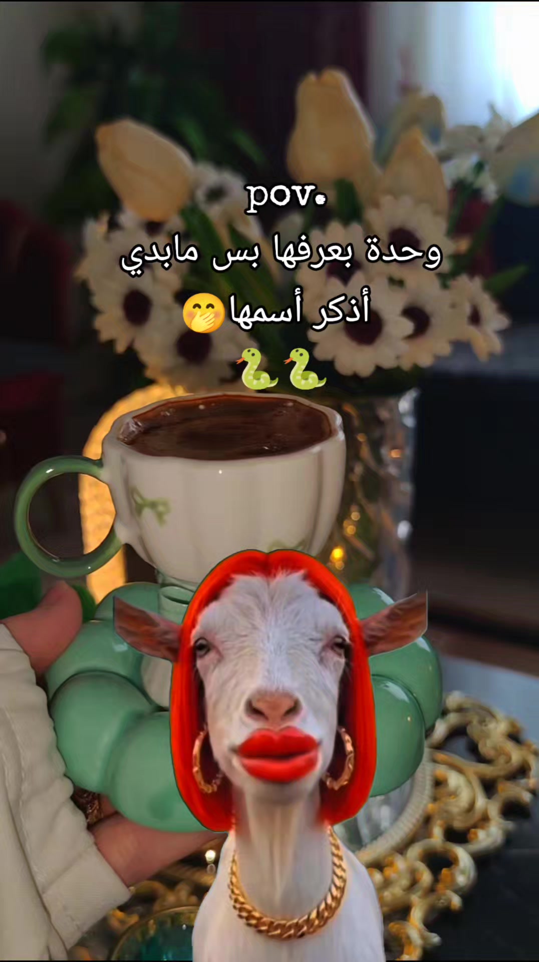 @💫👑بسمة امل👑💫