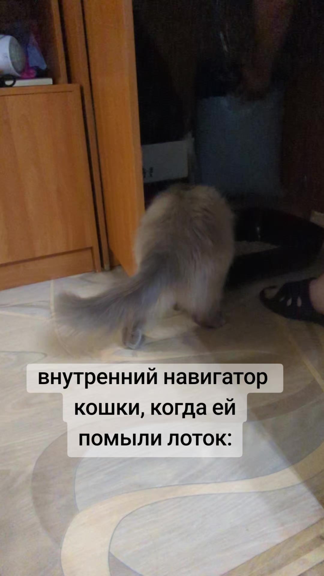 @я не знаю никакой Саманты