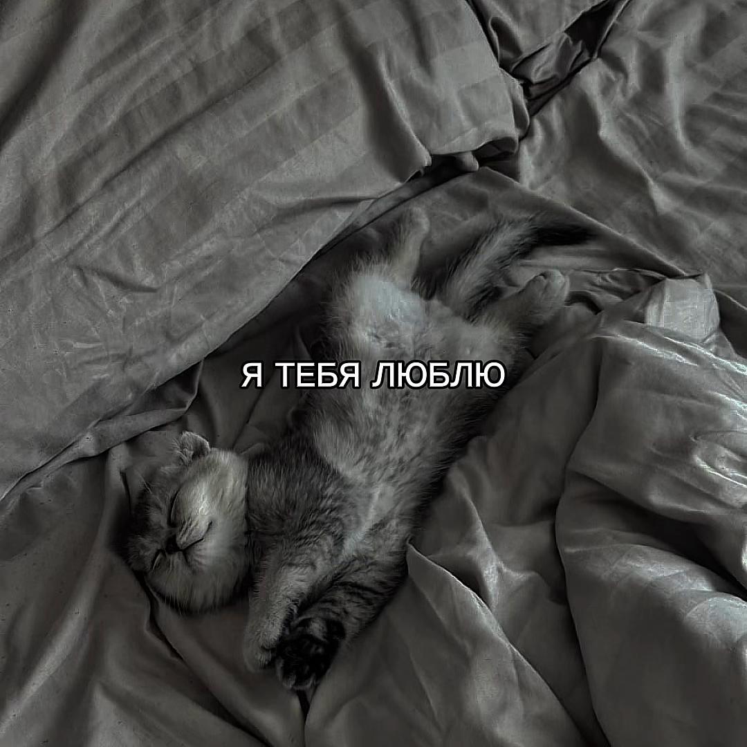 @ХХИКА