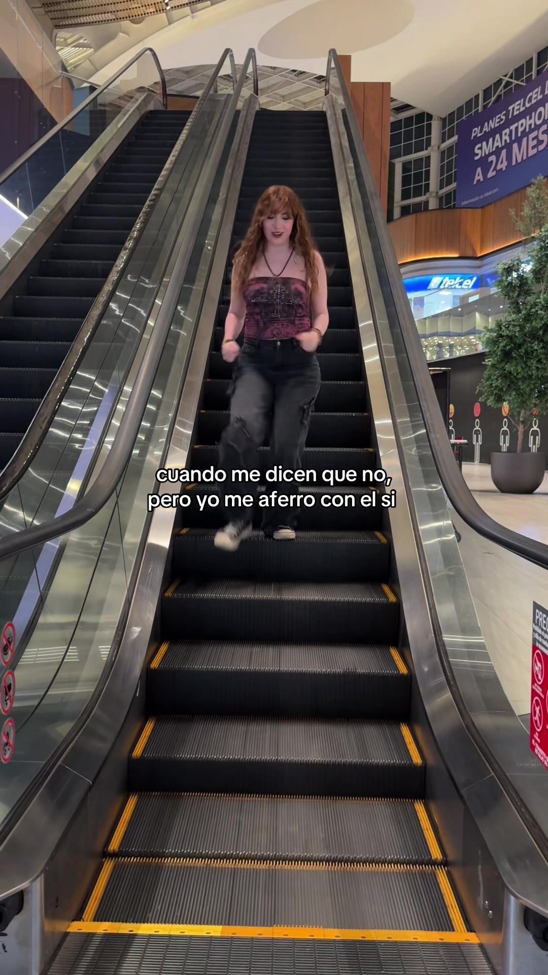 @Sofia Moreno