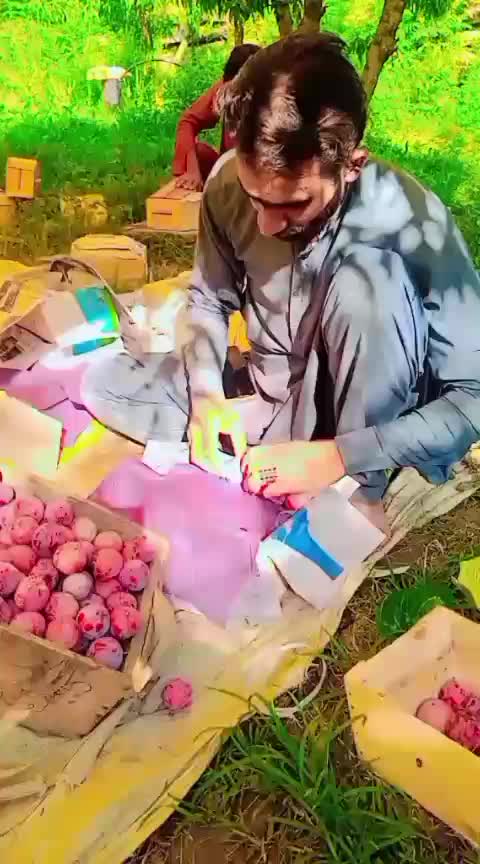 @yasararafat571