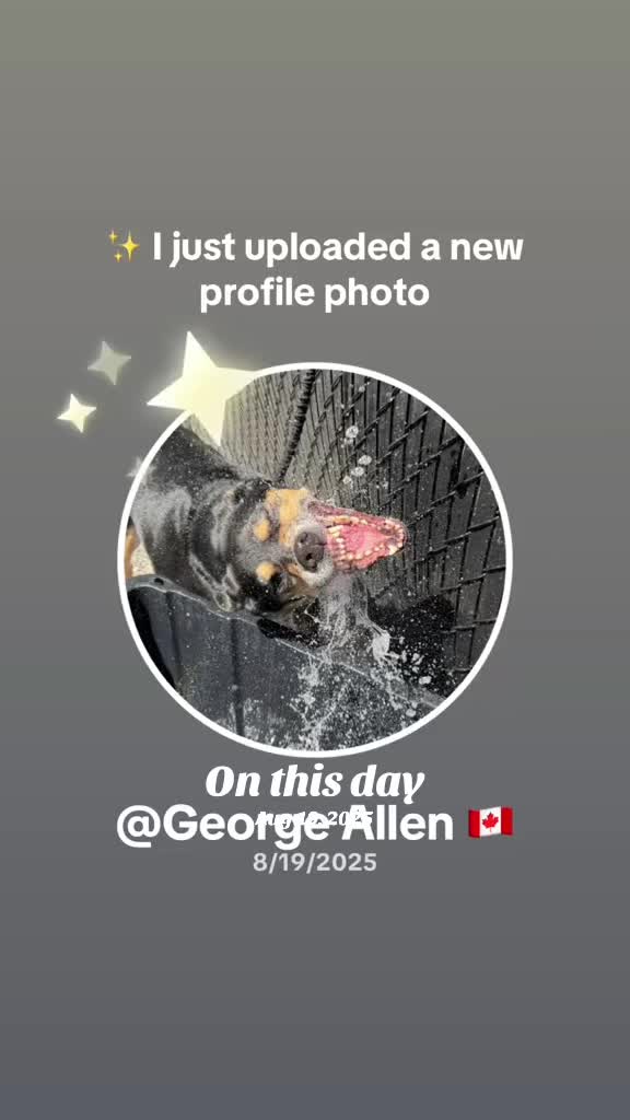 @George Allen 🇨🇦