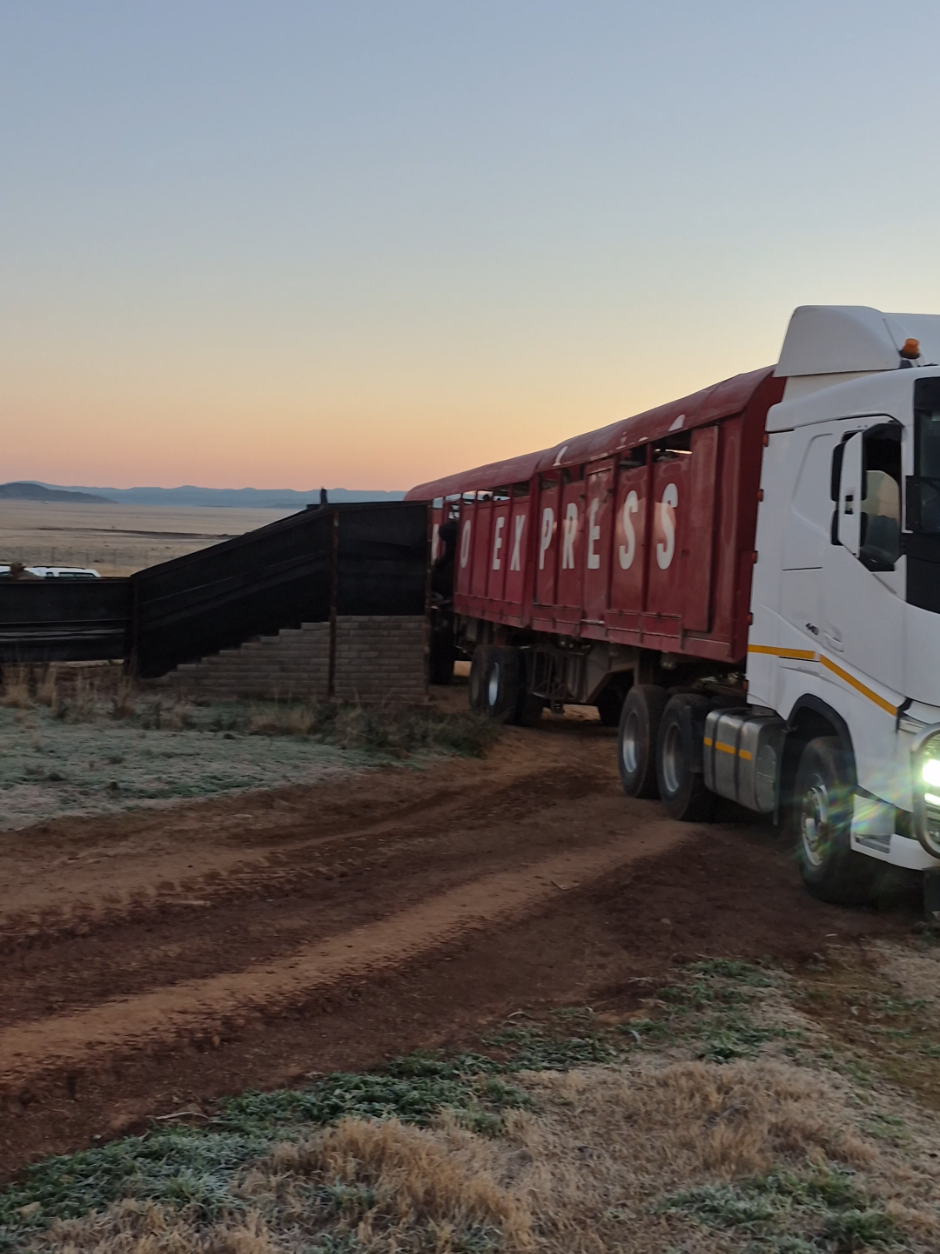 @BOET FASSIE🚛🚚