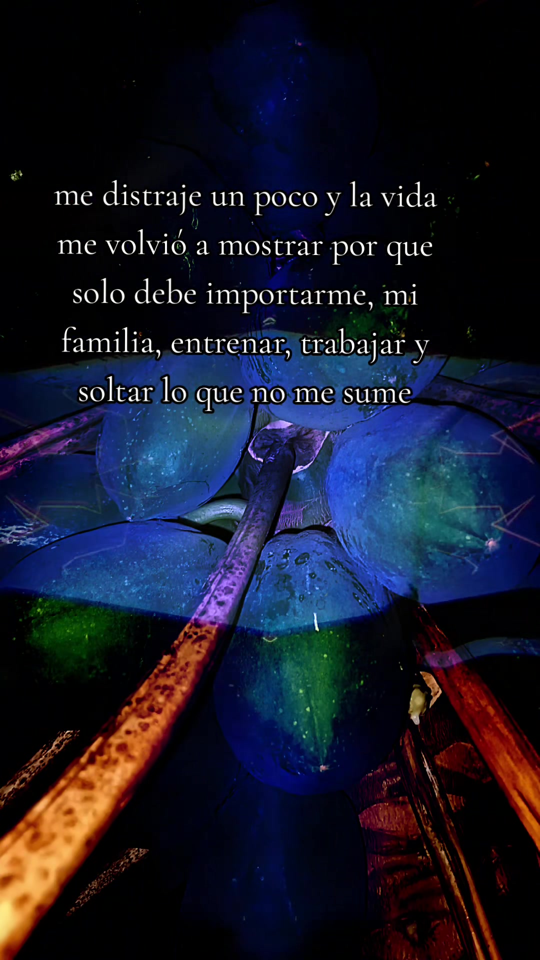 @Carlos Ortega💚💚💚