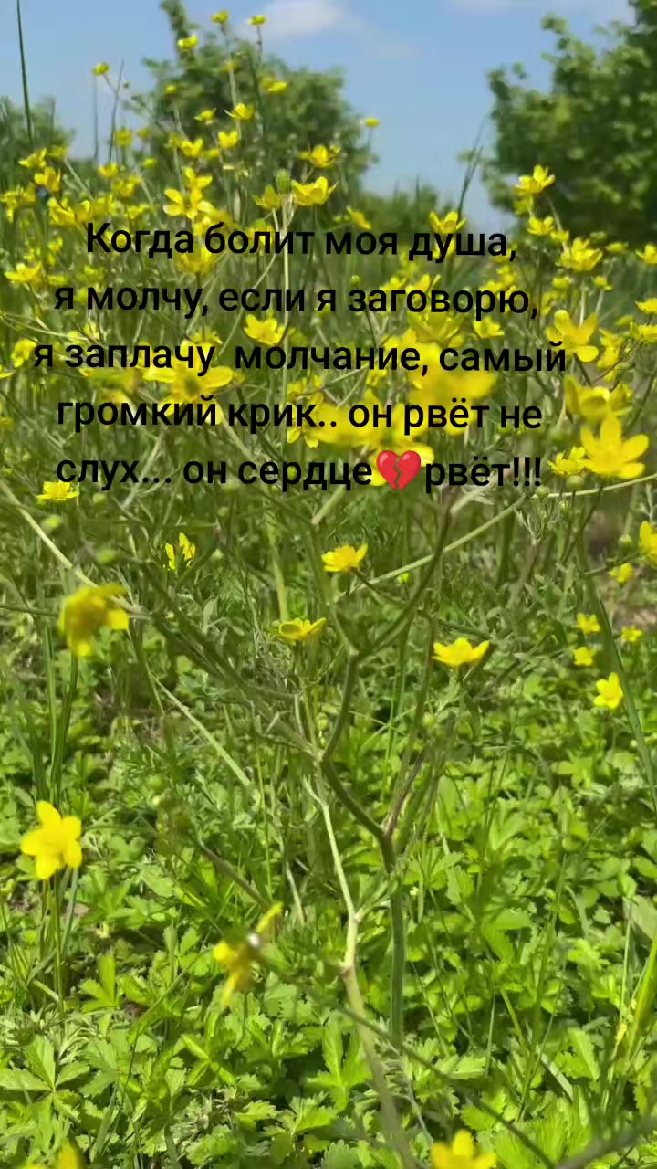 @❤️Вика Фатахова (Сейфетова)🔥