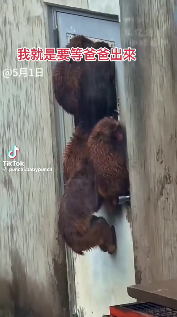 @🦊Nita🇮🇩🇹🇼