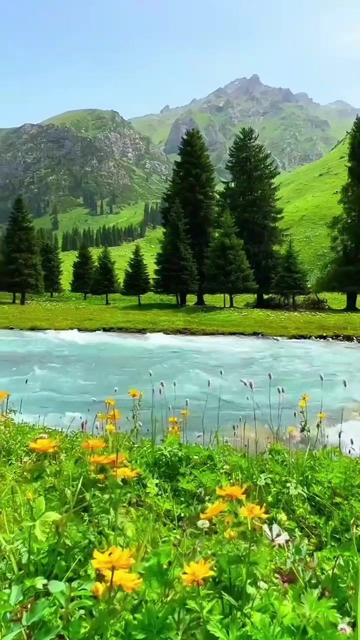 @मनु लिम्बू